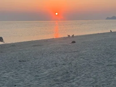 Sunset Serenity Cove (11) – 사진 15